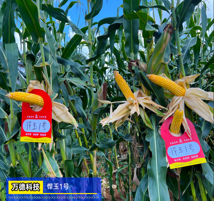 微信截圖_20221203164241 拷貝.jpg